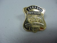 harley davidson security pin